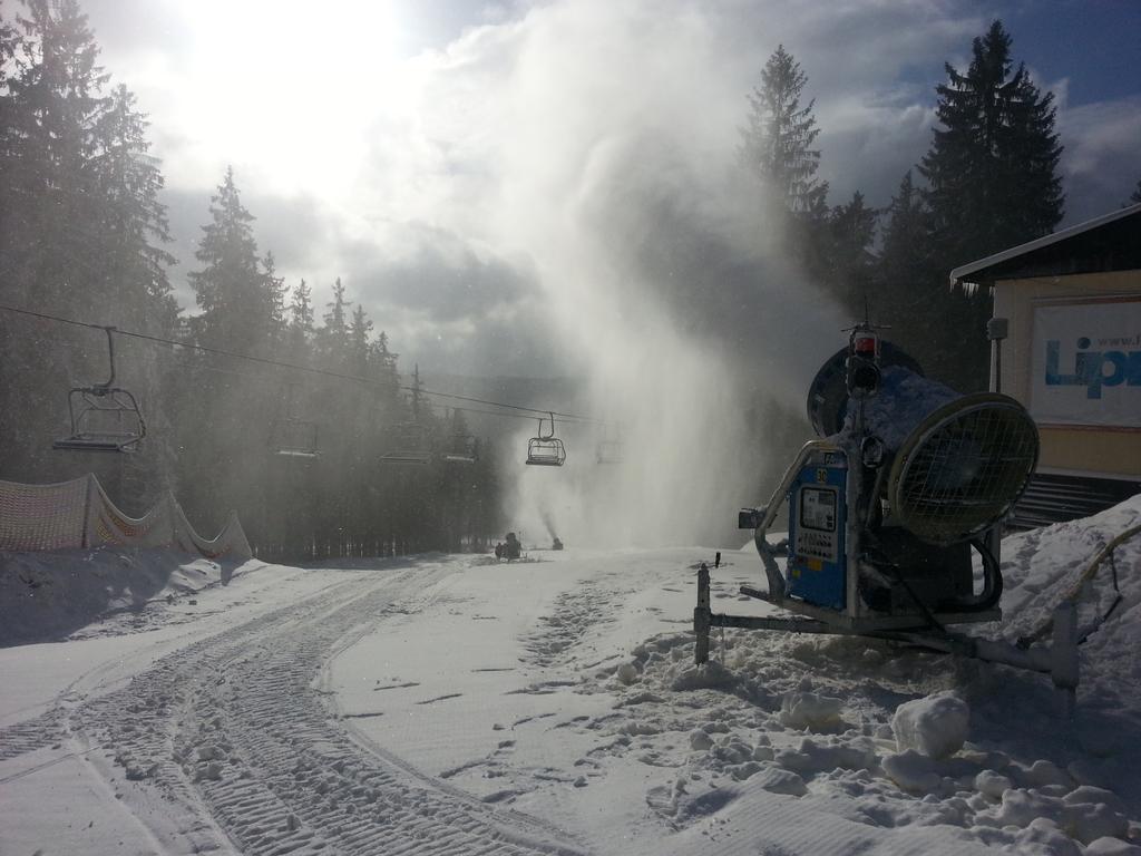 Mysi V Bote Lipno Appartement Lipno nad Vltavou Buitenkant foto